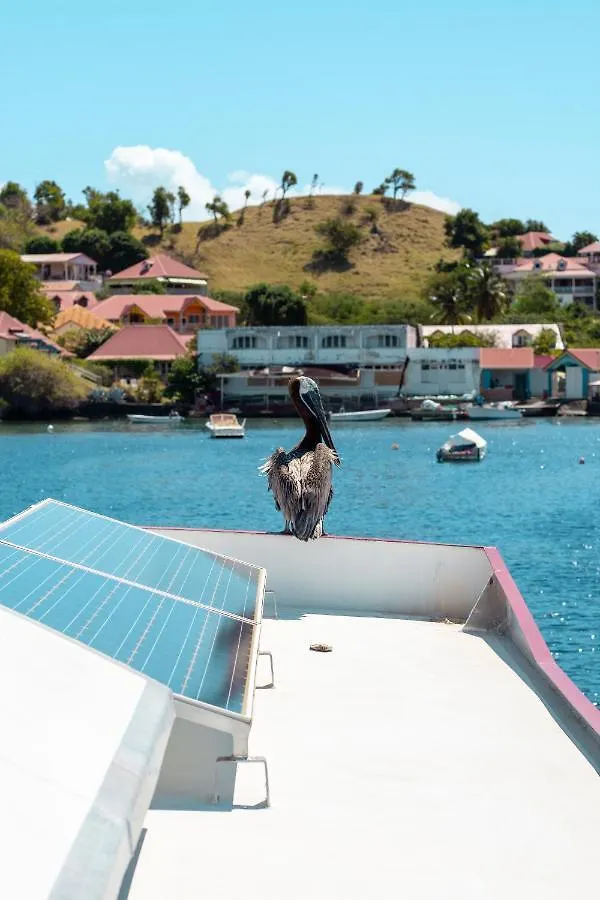 Aqualodge, Les Saintes, Terre De Haut